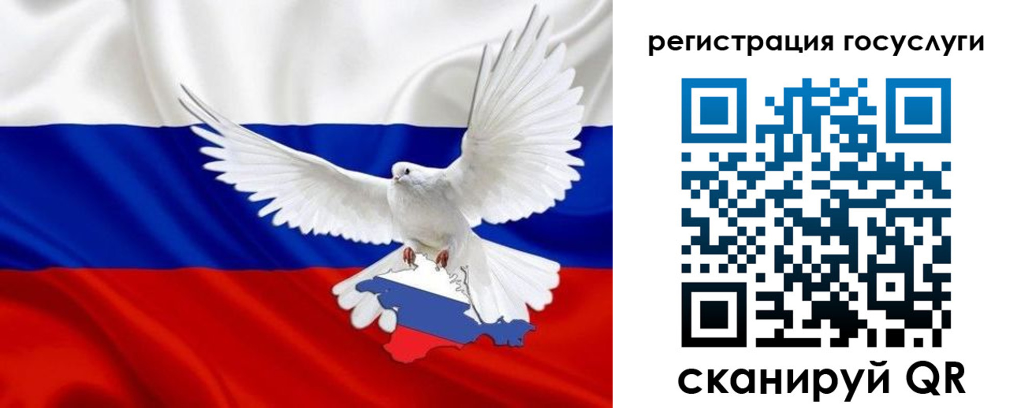 прописка законно в Волосово